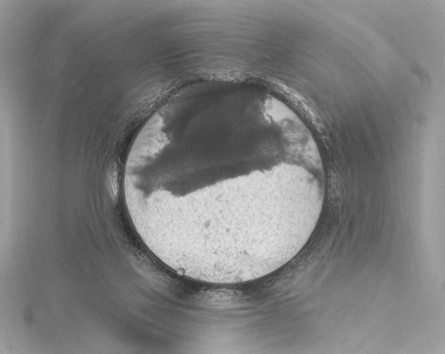 X0000115400069200912011214