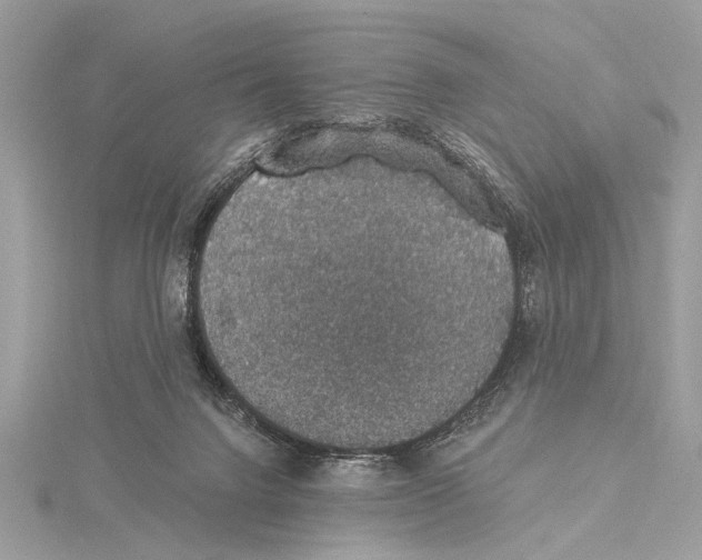 X0000115400072200912011214