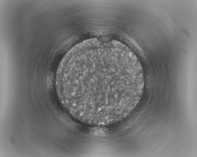 X0000115400073200912011214