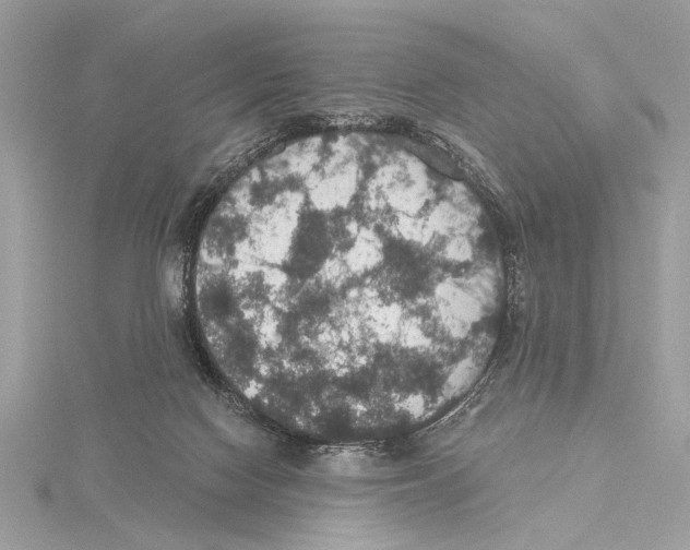 X0000115400074200912011214