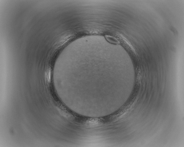 X0000115400076200912011214