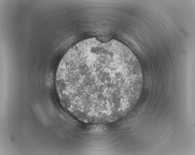 X0000115400077200912011214