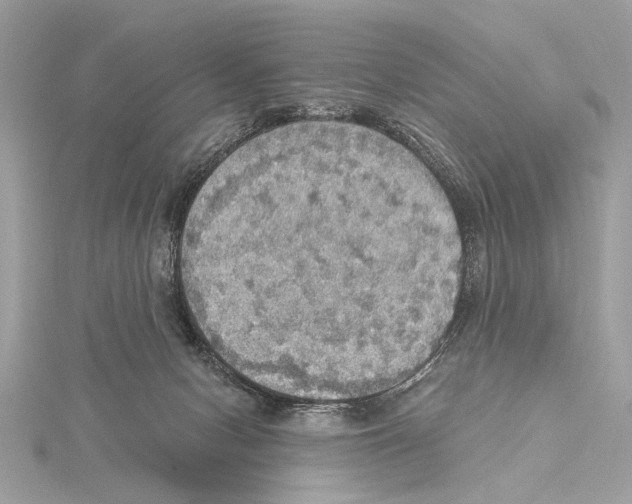 X0000115400078200912011214