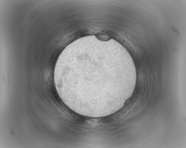 X0000115400079200912011214