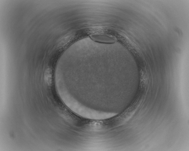 X0000115400080200912011214