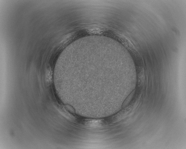 X0000115400081200912011214