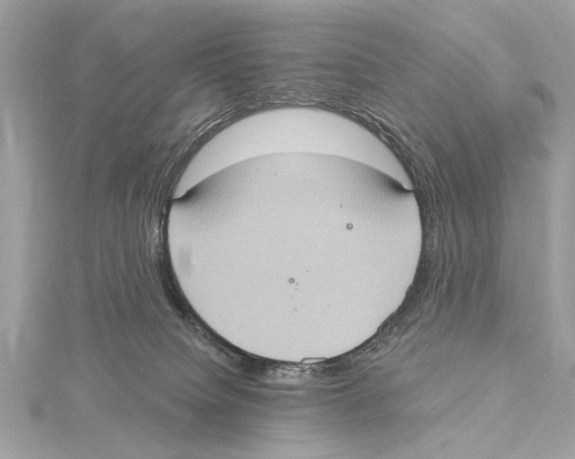 X0000115400084200912011214