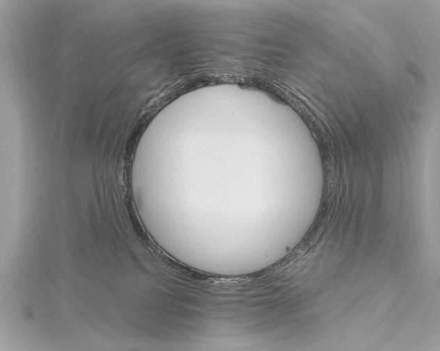 X0000115400088200912011214