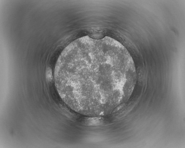 X0000115400089200912011214