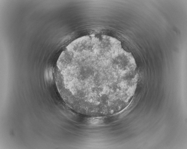 X0000115400094200912011214