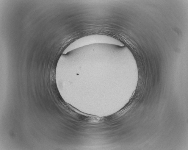 X0000115400096200912011214