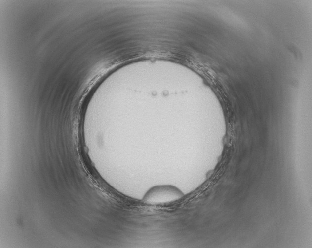 X0000115400098200912011213