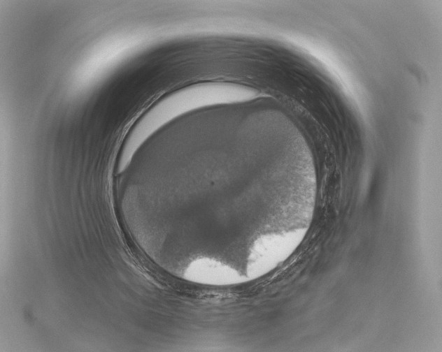 X0000115400099200912011213