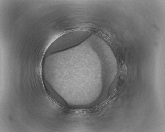 X0000115400100200912011213