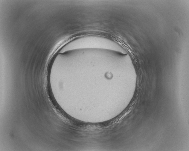 X0000115400101200912011213