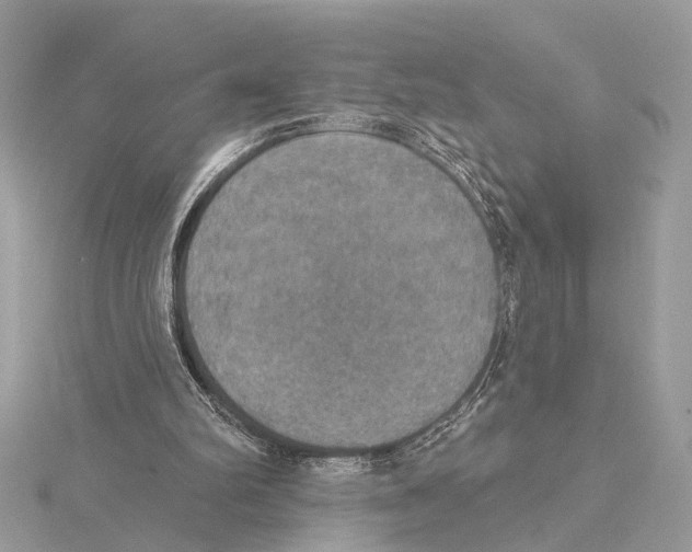 X0000115400102200912011213