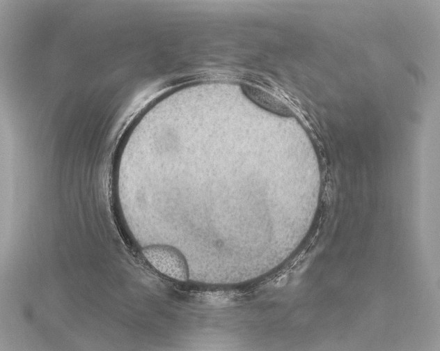 X0000115400103200912011213