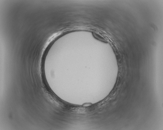 X0000115400104200912011213