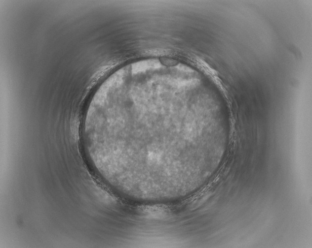 X0000115400106200912011213