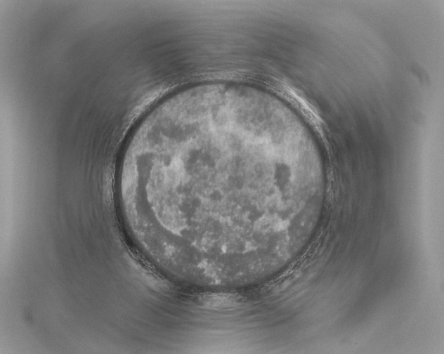 X0000115400107200912011213