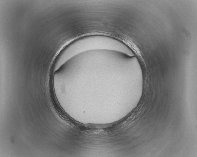 X0000115400108200912011213