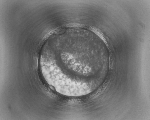 X0000115400109200912011213