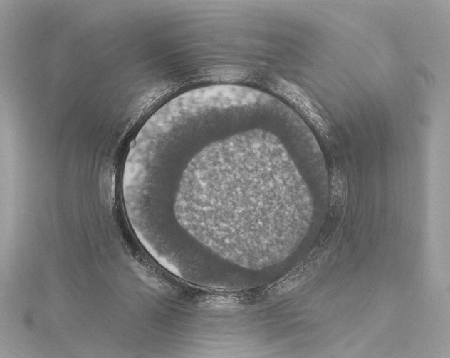 X0000115400110200912011213