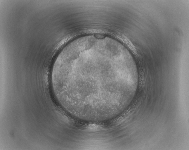 X0000115400111200912011213