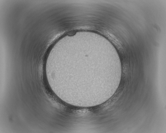 X0000115400112200912011213