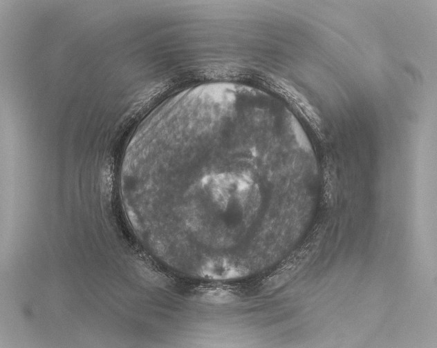 X0000115400113200912011213