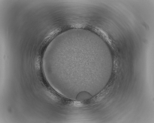 X0000115400114200912011213