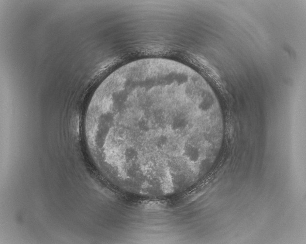 X0000115400115200912011213