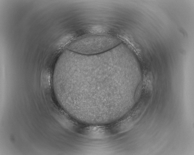 X0000115400117200912011213