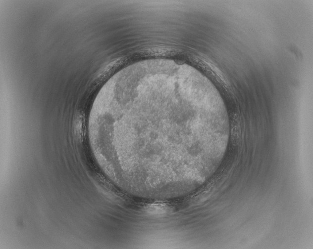 X0000115400119200912011213