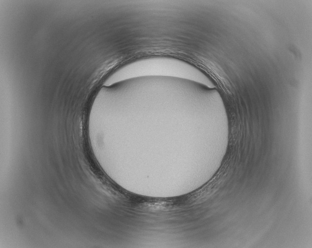 X0000115400120200912011213