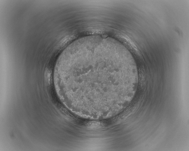 X0000115400123200912011213