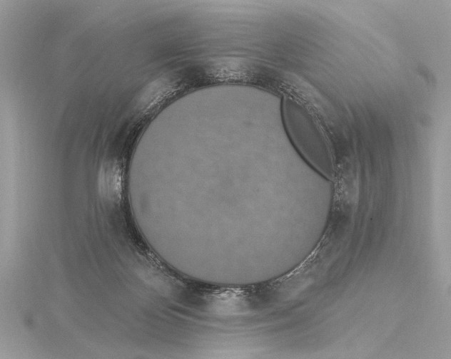 X0000115400124200912011213