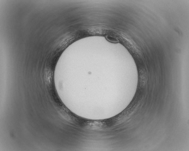 X0000115400125200912011213