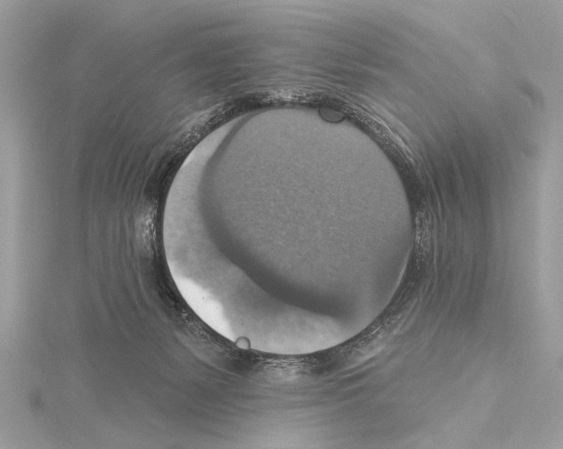 X0000115400127200912011213