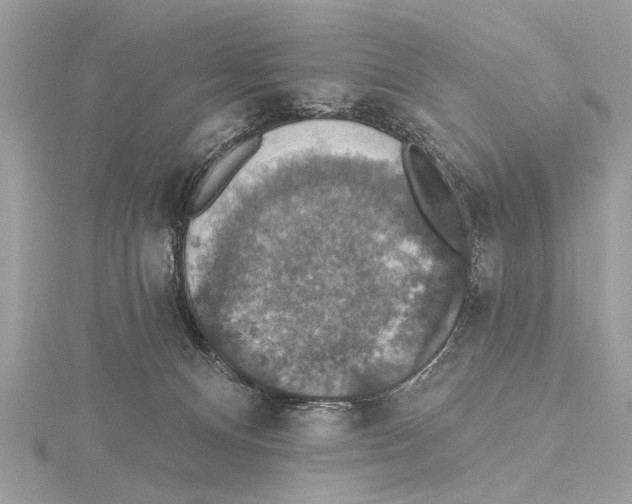 X0000115400128200912011213