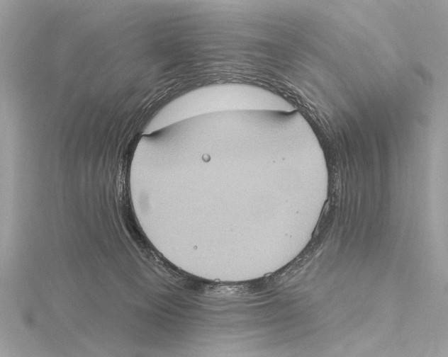 X0000115400129200912011213