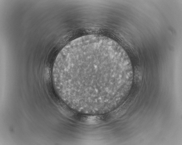 X0000115400130200912011213