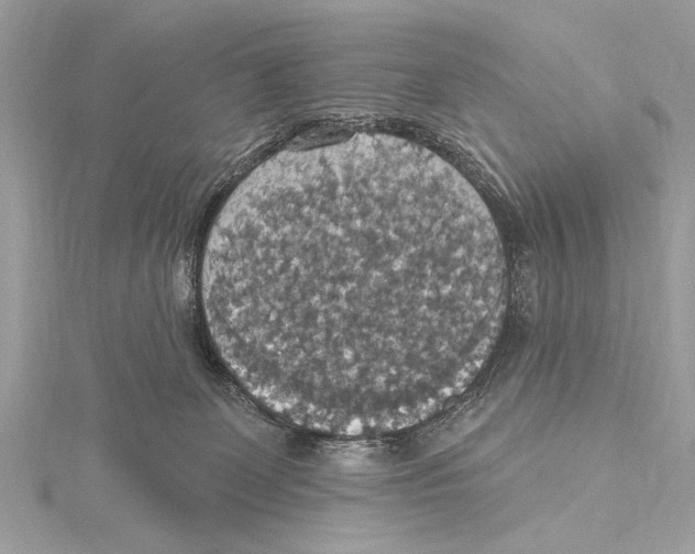 X0000115400131200912011213