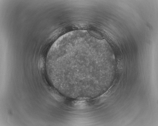 X0000115400132200912011213