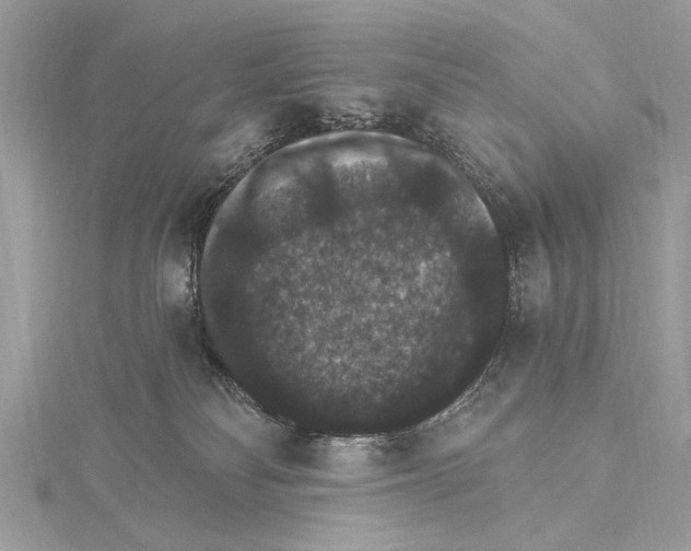 X0000115400134200912011213