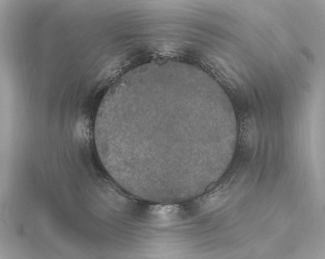 X0000115400135200912011213