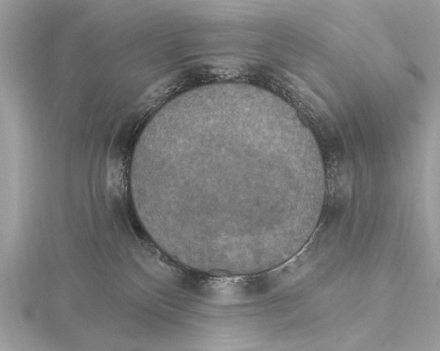 X0000115400136200912011213