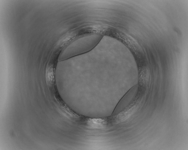 X0000115400137200912011213