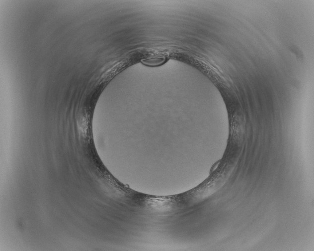 X0000115400139200912011213