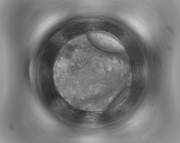 X0000115400140200912011213